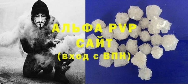 хмурый Аркадак