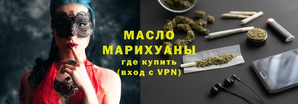 хмурый Аркадак