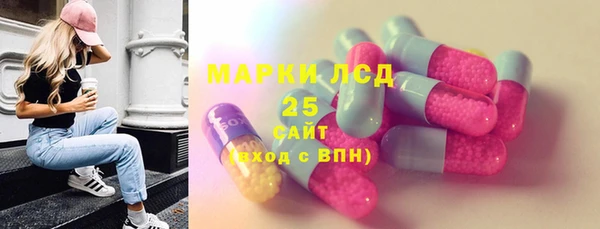 хмурый Аркадак