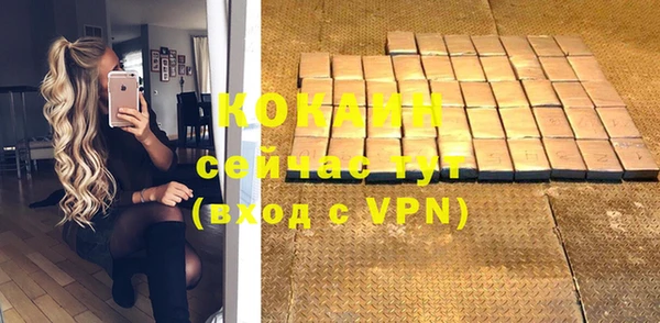 хмурый Аркадак