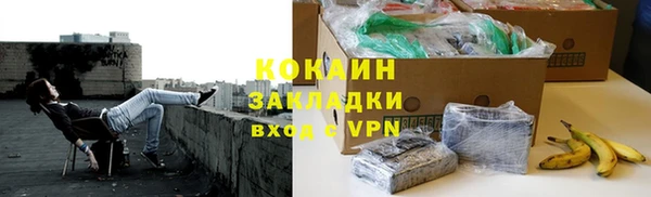 хмурый Аркадак