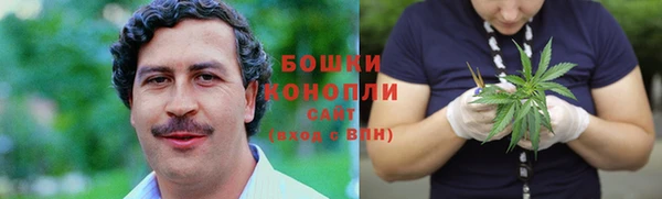 хмурый Аркадак