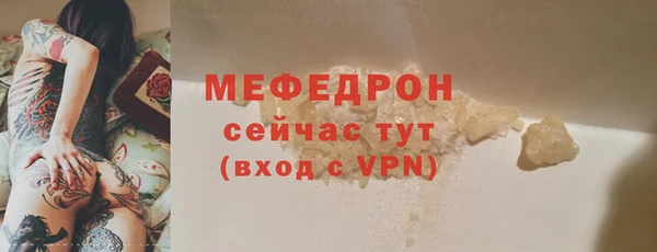 хмурый Аркадак