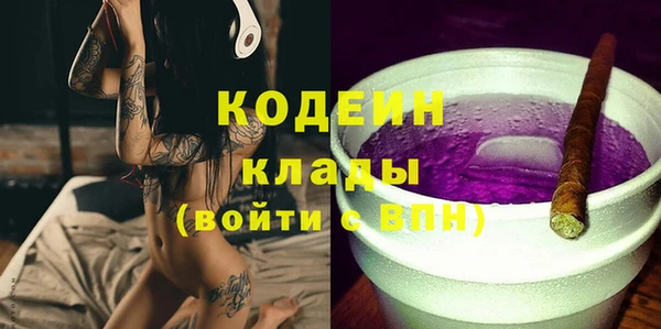 хмурый Аркадак